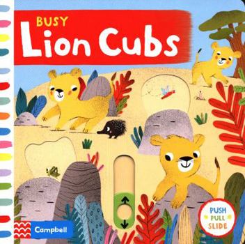 Board book Busy Lion Cubs (Busy Books) Book