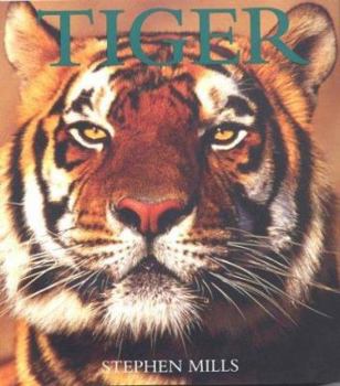 Paperback Tiger Book