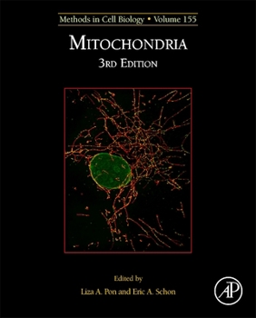 Hardcover Mitochondria Biology: Volume 155 Book