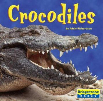 Library Binding Crocodiles Book