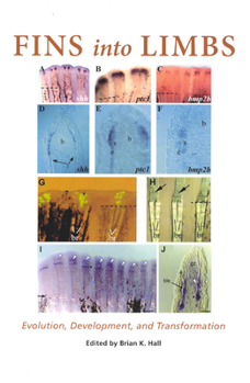 Paperback Fins Into Limbs: Evolution, Development, and Transformation Book