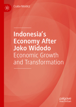 Hardcover Indonesia's Economy After Joko Widodo: Economic Growth and Transformation Book