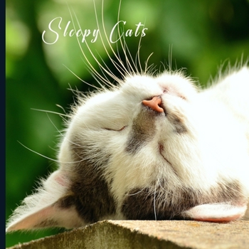 Sleepy Cats: 2021 Monthly Photo Calendar | January 2021 - December 2021 | Monthly Calendar with U.S./UK/ Canadian/Christian/Jewish/Muslim Holidays |