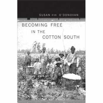 Hardcover Becoming Free in the Cotton South Book