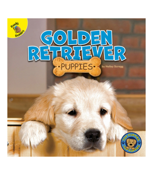 Hardcover Golden Retriever Puppies Book