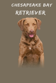 Chesapeake Bay Retriever: 120 Page Unlined (6 x 9 inches) Chesapeake Bay Retriever Notebook with More Chesapeake Bay Retrievers Inside!
