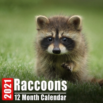 Paperback Calendar 2021 Raccoons: Cute Raccoon Photos Monthly Mini Calendar With Inspirational Quotes each Month Book