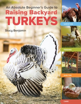 Paperback An Absolute Beginner's Guide to Raising Backyard Turkeys: Varieties, Feeding, Shelter, Care Book