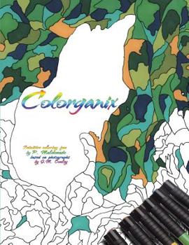 Paperback Colorganix Book