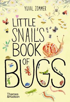 Board book Little Snail's Book of Bugs Book