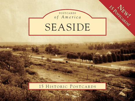 Ring-bound Seaside Book