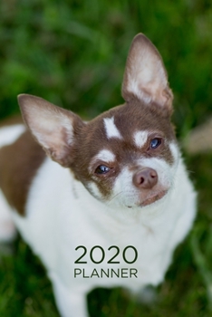 Paperback Planner: 2020 diary: Increase productivity, improve time management, reach your goals: Sweet Chihuahua: Modern artistic photogr Book