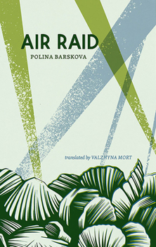 Paperback Air Raid Book