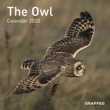 Calendar The Owl Calendar 2020 Book