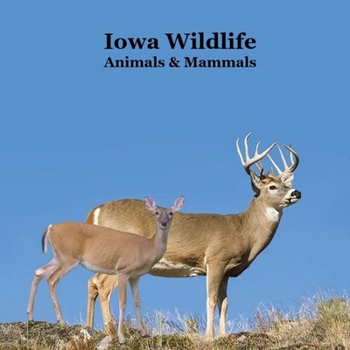 Iowa Animals and Mammals Kids Wildlife Book: Great Iowa Animals book with Lifelike Images and Fun Facts