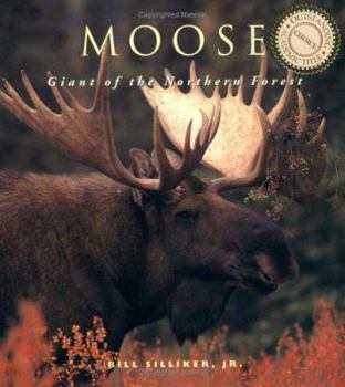 Paperback Moose: Giants of the Northern Forest Book