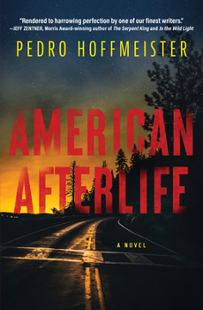 Hardcover American Afterlife Book