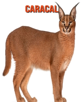 Paperback Caracal: Amazing Facts & Pictures Book