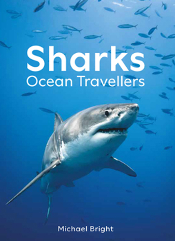 Sharks: Ocean Travellers
