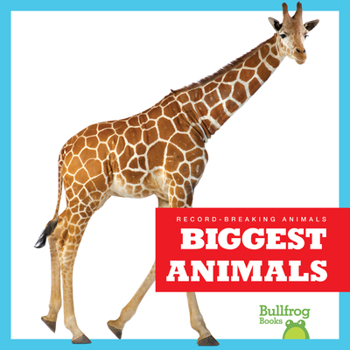 Paperback Biggest Animals Book