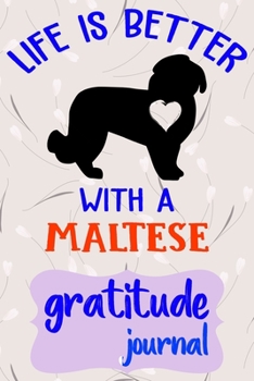 Paperback Gratitude Journal: Practice Gratitude and Daily Reflection to Reduce Stress, Improve Mental Health, and Find Peace in the Everyday For Ma Book