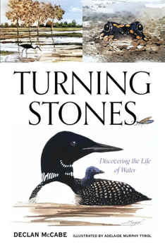 Paperback Turning Stones: Discovering the Life of Water Book