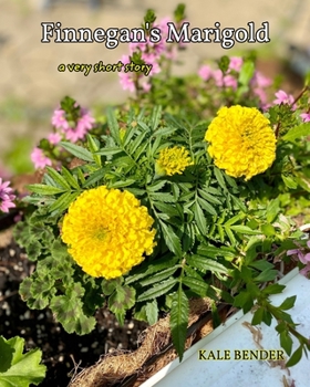 Paperback Finnegan's Marigold: A very short story Book