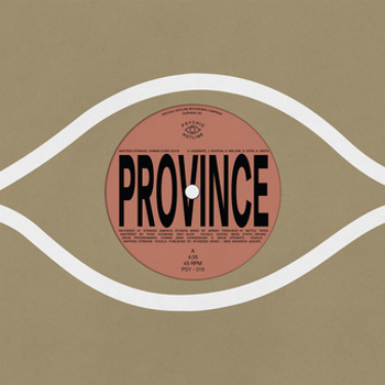 Vinyl Province / Ever New Book