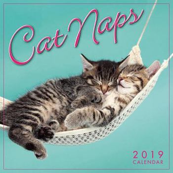 Calendar 2019 Cat Naps Mini Calendar: By Sellers Publishing Book