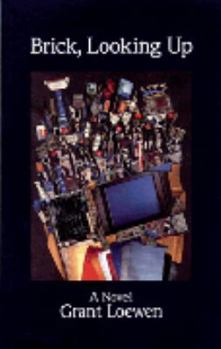 Paperback Brick, Looking Up Book