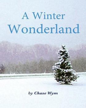 Paperback A Winter Wonderland Book
