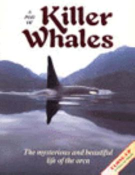 Library Binding A Pod of Killer Whales: The Mysterious and Beautiful Life of the Orca Book