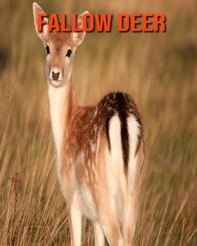 Paperback Fallow Deer: Amazing Facts about Fallow Deer Book