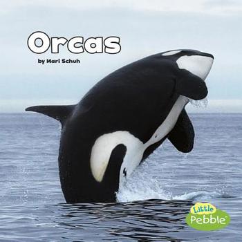 Paperback Orcas Book