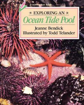 Paperback Exploring an Ocean Tide Pool Book