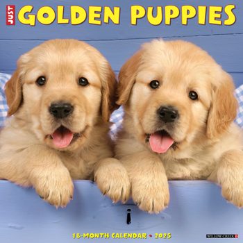 Calendar Just Golden Puppies 2025 12 X 12 Wall Calendar Book