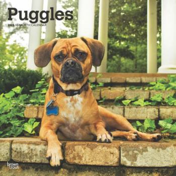 Calendar Puggles 2025 12 X 24 Inch Monthly Square Wall Calendar Plastic-Free Book