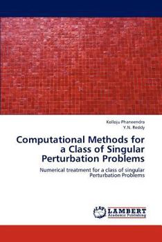 Paperback Computational Methods for a Class of Singular Perturbation Problems Book
