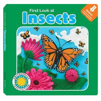 Board book First Look at Insects Book