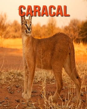 Paperback Caracal: Learn About Caracal and Enjoy Colorful Pictures Book