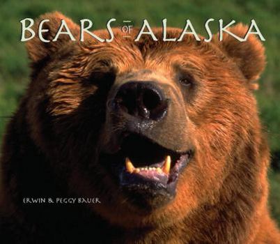 Paperback Bears of Alaska: The Wild Bruins of the Last Frontier Book