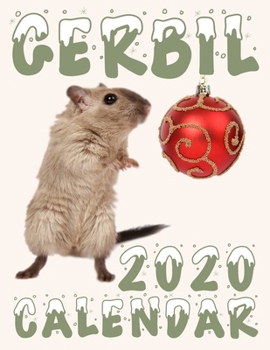 Paperback Gerbil 2020 Calendar Book