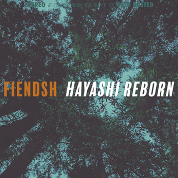 Vinyl Hayashi Reborn Book