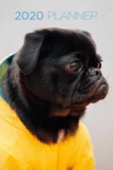 Pug Planner: 2020 diary: Increase productivity, improve time management, reach your goals: Sweet pug in jacket: Modern artistic photography style cover