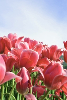 Journal: 150 Dot Grid Sheets, 6x9 Inches, Peach Tulips, Plan Your Day and Organize Your Life, Tracker, Productivity, Diary, Notebook