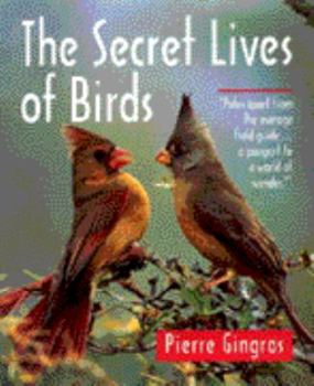 Paperback The Secret Lives of Birds Book