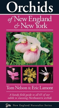 Paperback Orchids of New England & New York Book