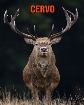 Paperback Cervo: Foto stupende e fatti divertenti Libro sui Cervo per bambini [Italian] Book