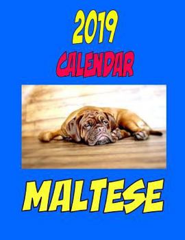 Paperback 2019 Calendar Maltese: Dog weekly calendar, personal contacts list, password log, notes and to do list. Book