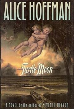 Hardcover Turtle Moon Book